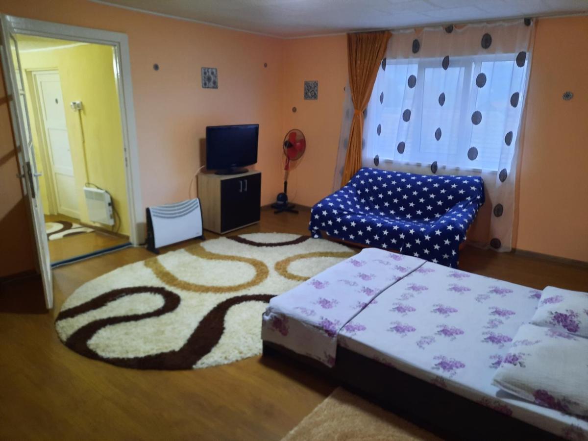 Vila La Izvorul Putinei Haţeg 外观 照片