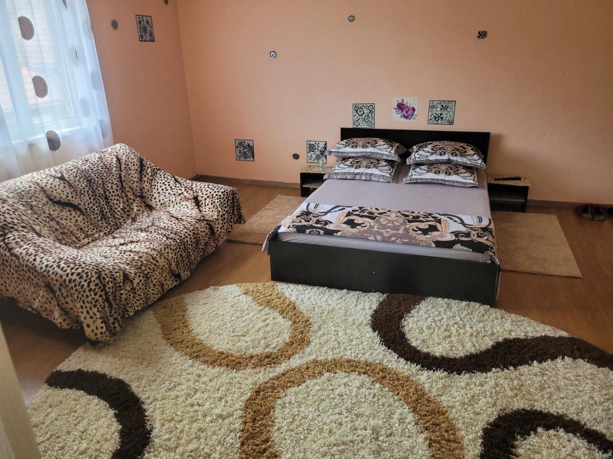 Vila La Izvorul Putinei Haţeg 外观 照片