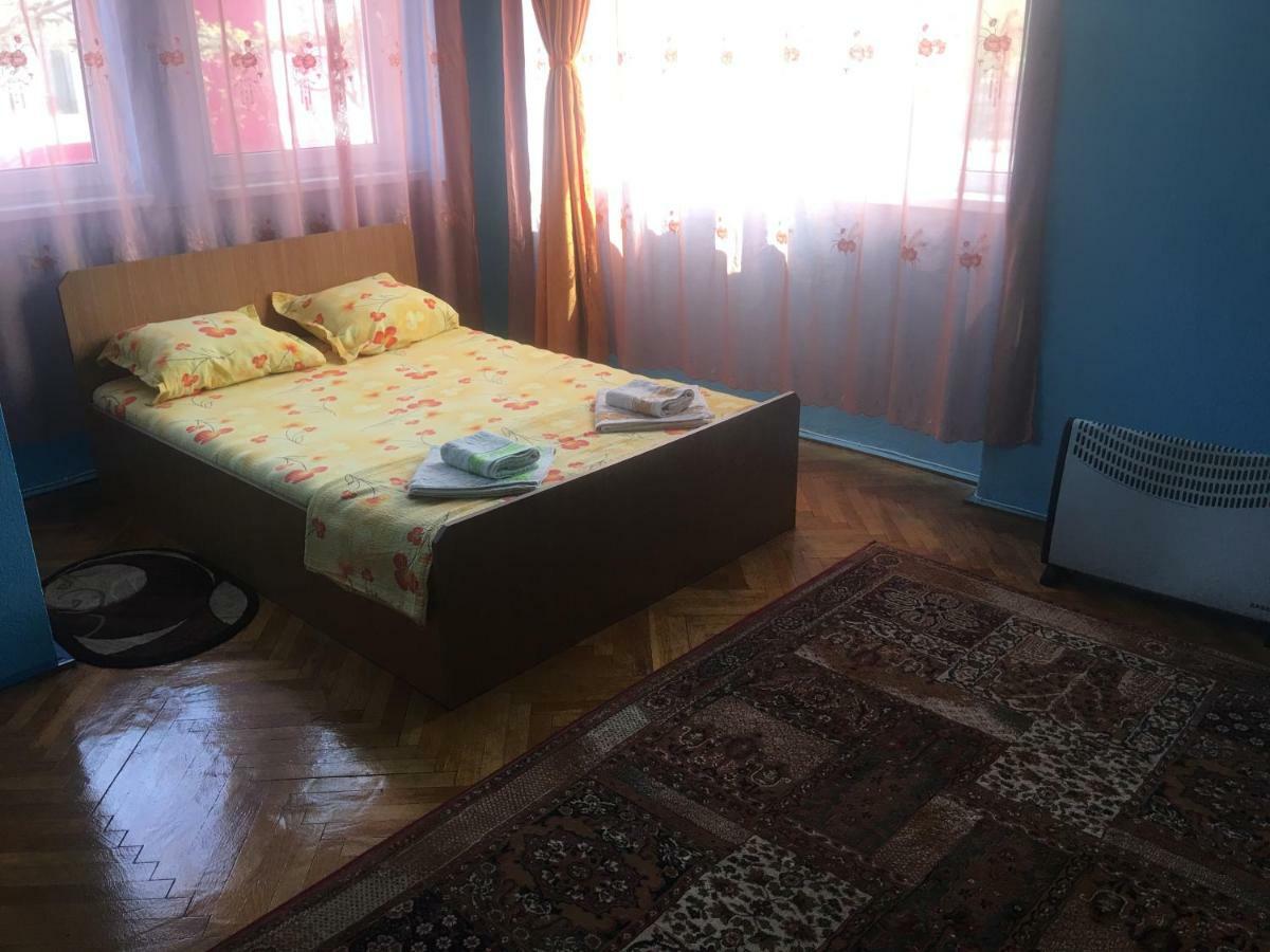 Vila La Izvorul Putinei Haţeg 外观 照片