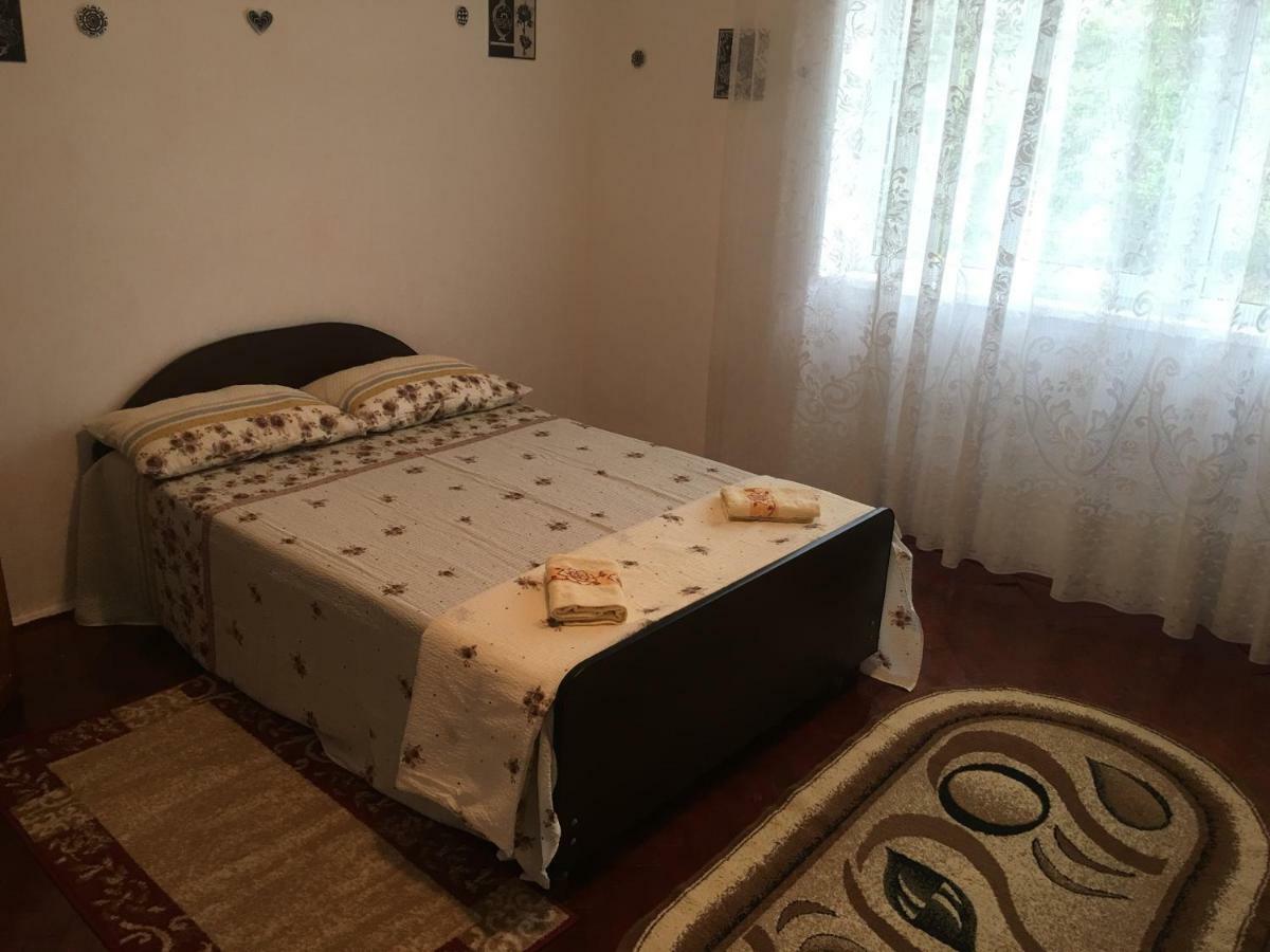 Vila La Izvorul Putinei Haţeg 外观 照片