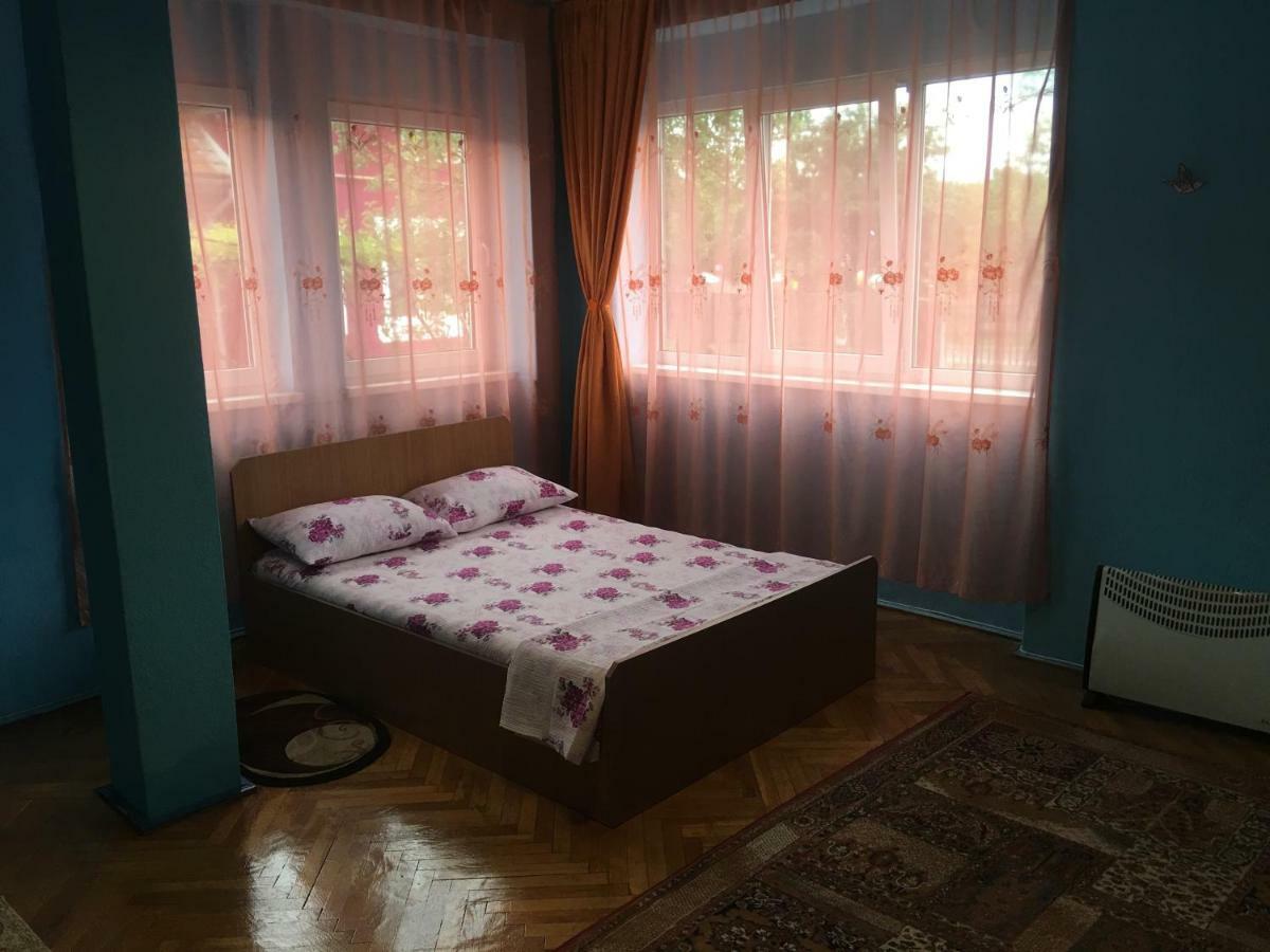 Vila La Izvorul Putinei Haţeg 外观 照片