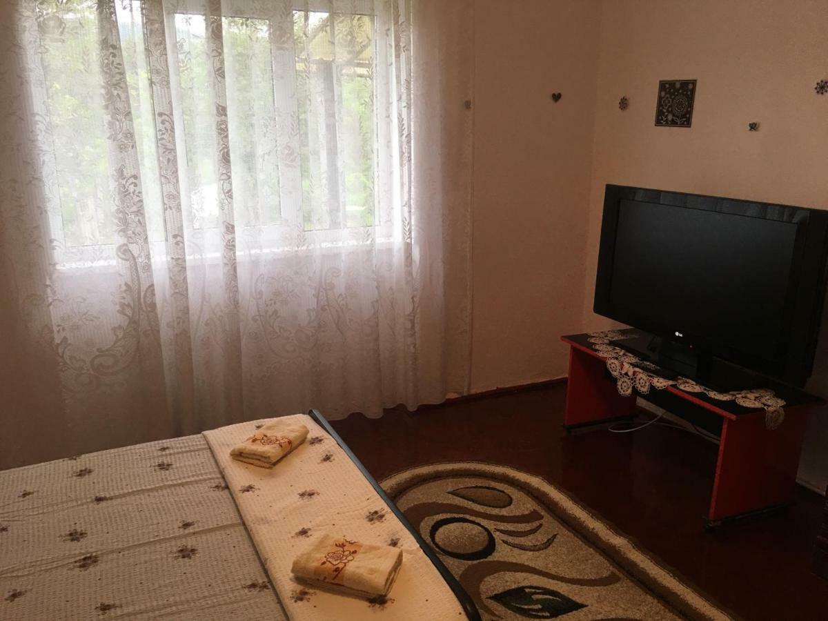 Vila La Izvorul Putinei Haţeg 外观 照片