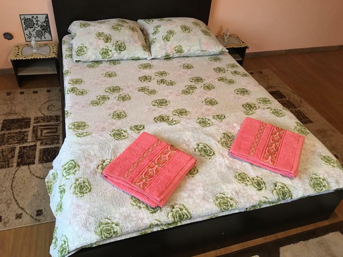 Vila La Izvorul Putinei Haţeg 外观 照片