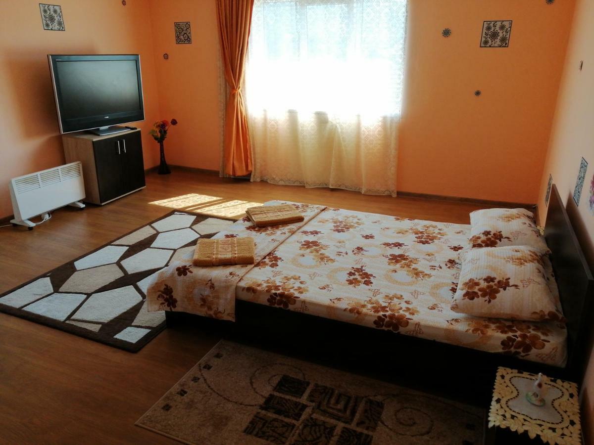 Vila La Izvorul Putinei Haţeg 外观 照片